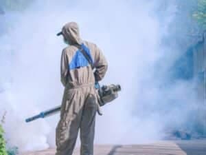 fumigazione a Bergamo
