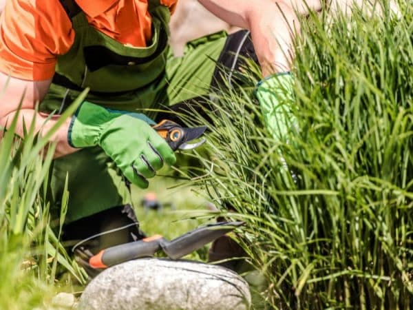 manutenzione del giardino a Bergamo