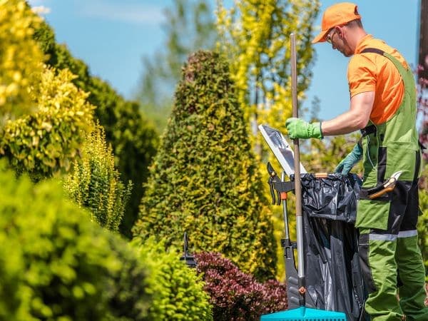 manutenzione giardino