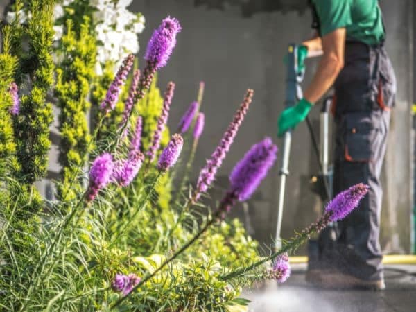 Cos'è un trattamento fitosanitario?