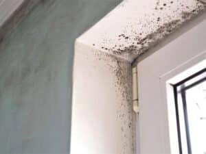 togliere umidità in casa a Bergamo